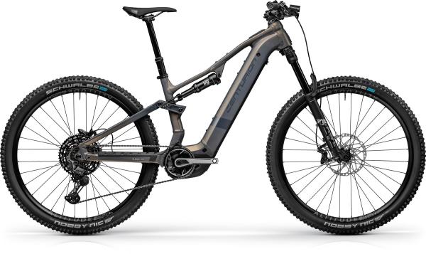 CENTURION Numinis R2000 S 29" 38cm Kristallgrau satin